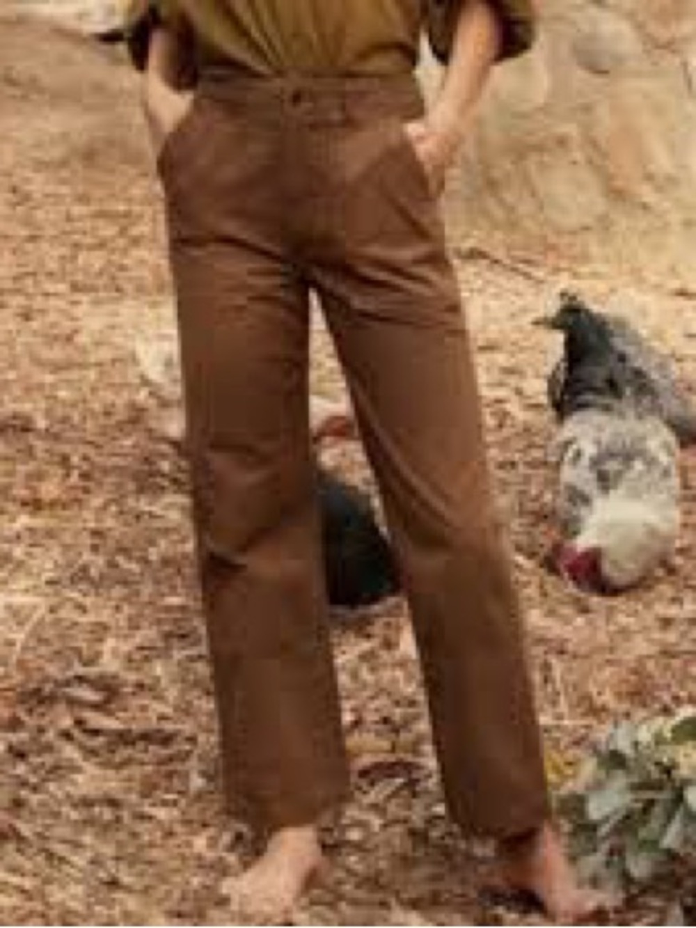 DOEN WILDER PANT Brown size 29